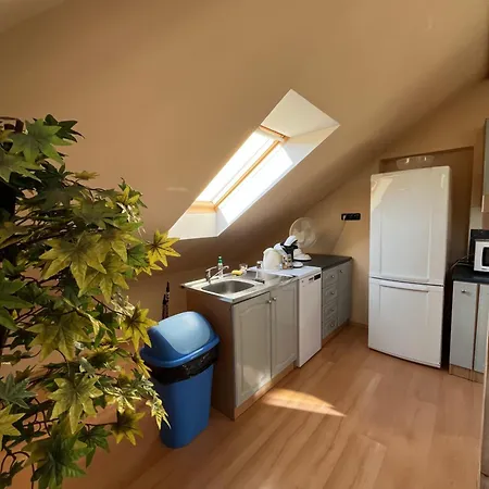 Apartment Vitazov *