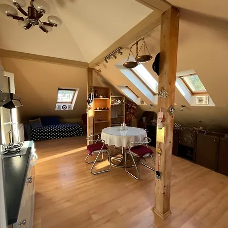 Vitazov Apartment *